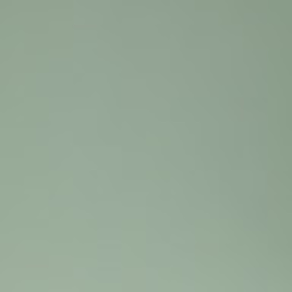 Meet your Posher, Zion